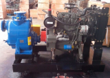 self priming sewage pump